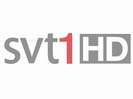 SVT 1