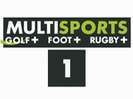 MultiSports 1